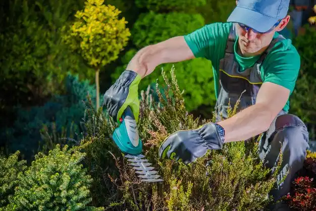 landscaping services South Huntington